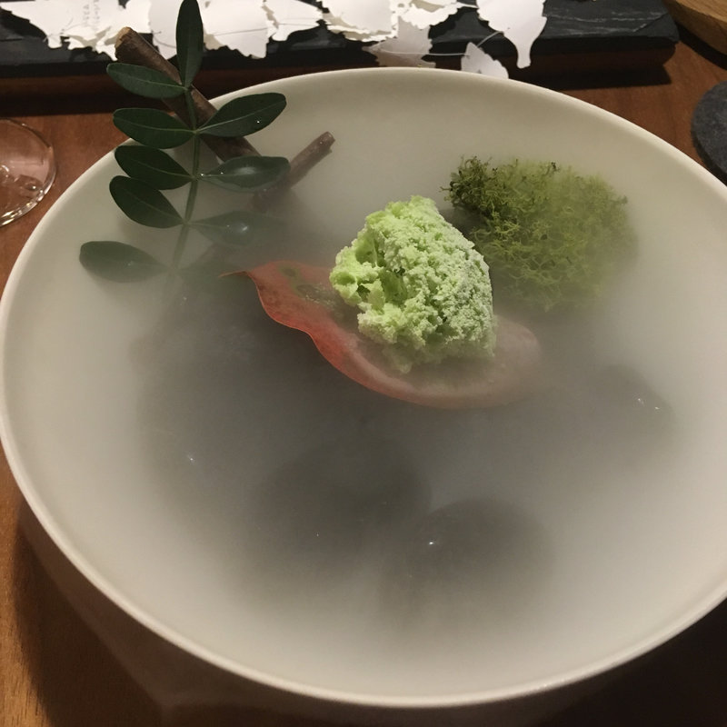 森の朝(セララバアド)