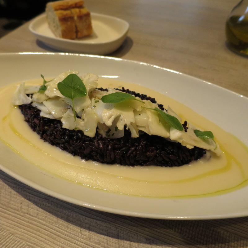 Coulicious Set(＆ ecle （アンド エクレ）)