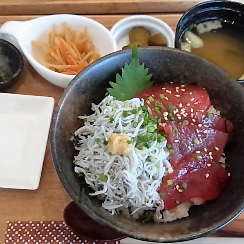 しらすとまぐろの合わせ丼(鎌倉お昼ごはん)