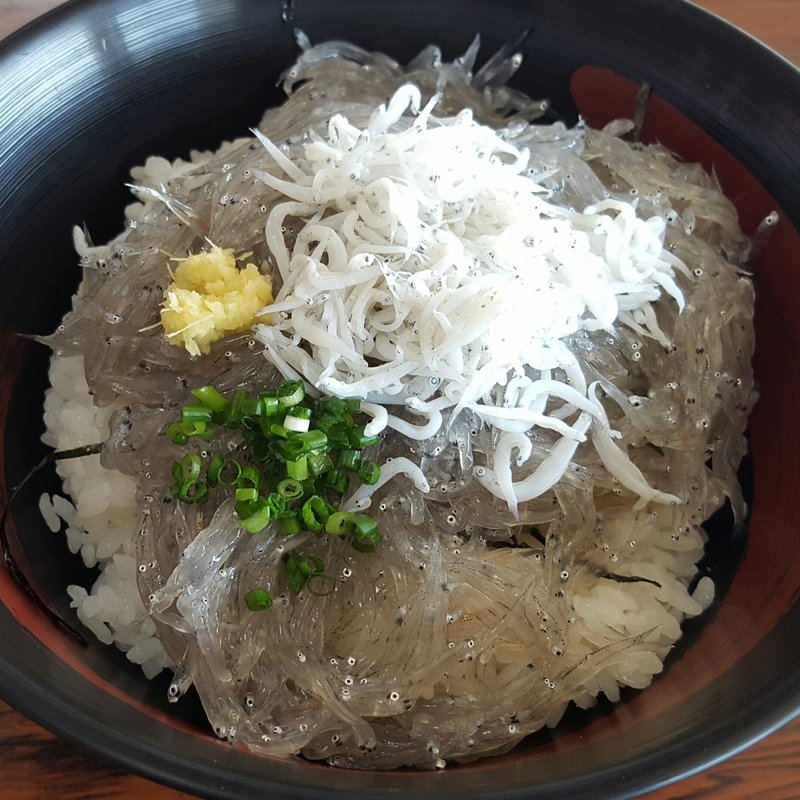 ぷりぷり生しらす丼富士山盛り(田子の浦港 漁協食堂 )