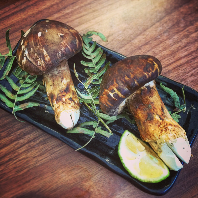 松茸姿焼(見晴台)