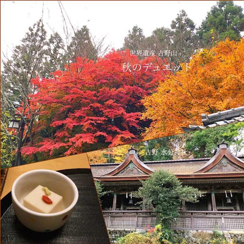 本会席 前菜(竹林院群芳園 （チクリンイングンポウエン）)