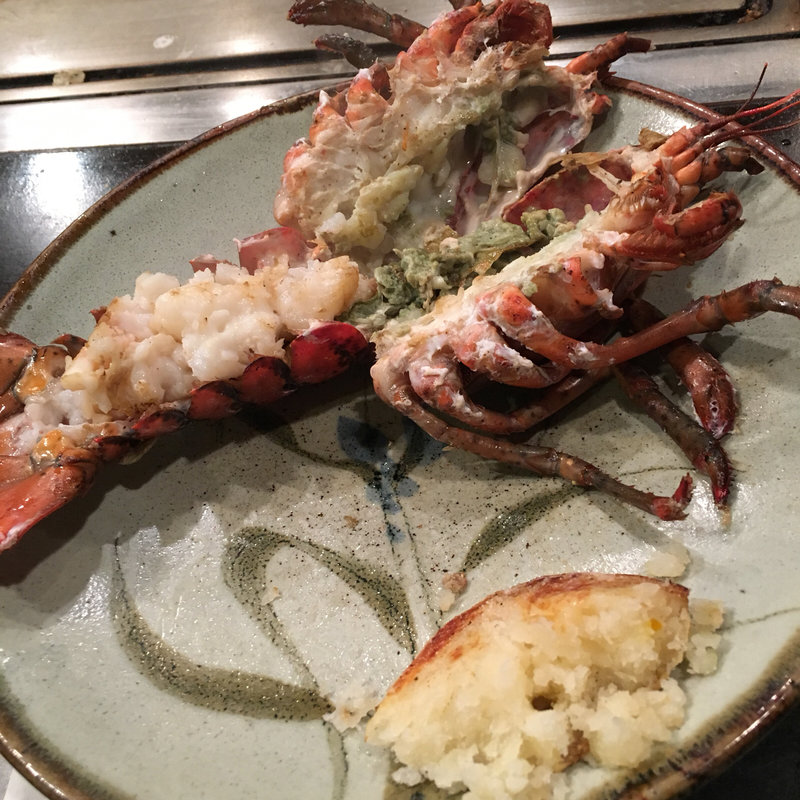 スペシャルコース(ドルフ )