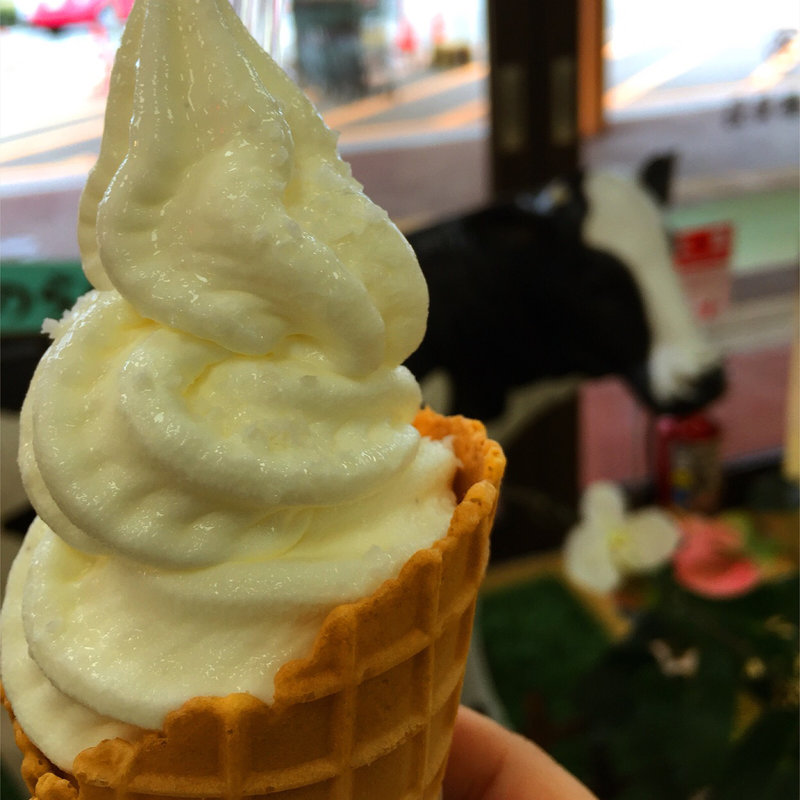 ソルトバニラアイス(伊都楽)