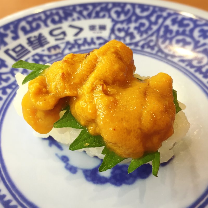 うに(一貫)(くら寿司 福岡日赤前店)