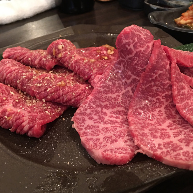 シンシン カメノコウ(SATO ブリアン )