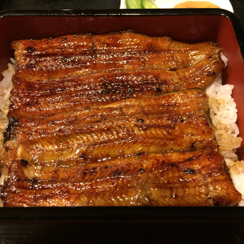 特選 鰻重(かのうや )