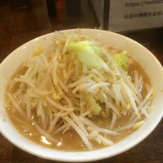 濃厚豚骨醤油ラーメン(小)(麺屋　鳳)