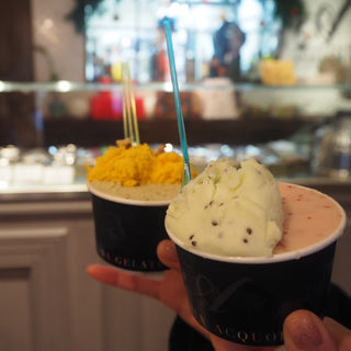 カップ2種盛り(ジェラテリアアクオリーナ （GELATERIA ACQUOLINA）)