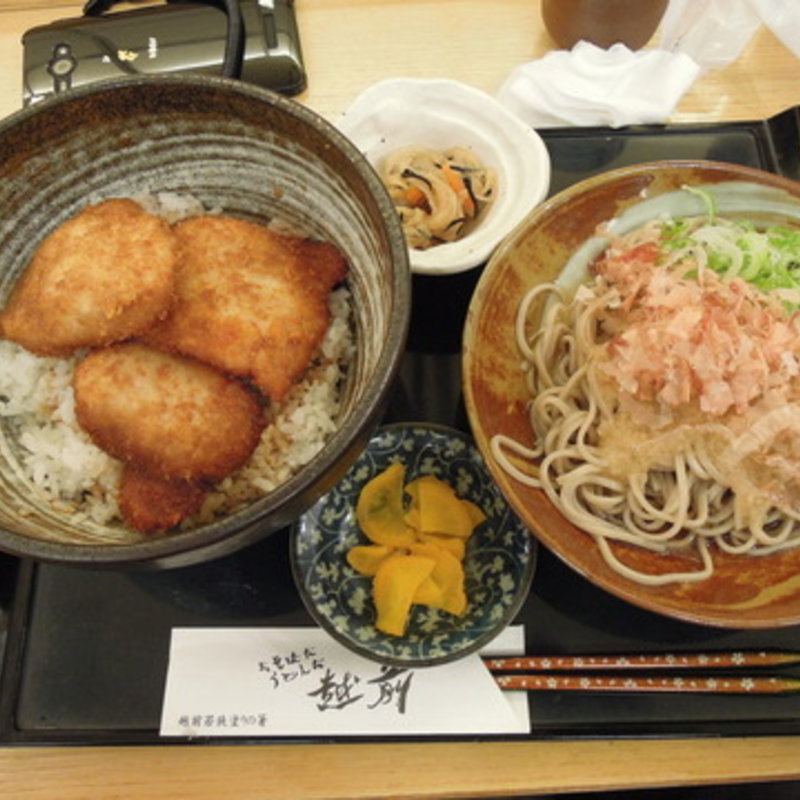 ソースカツ丼と越前そば小盛りセット(おそばだうどんだ 越前 )