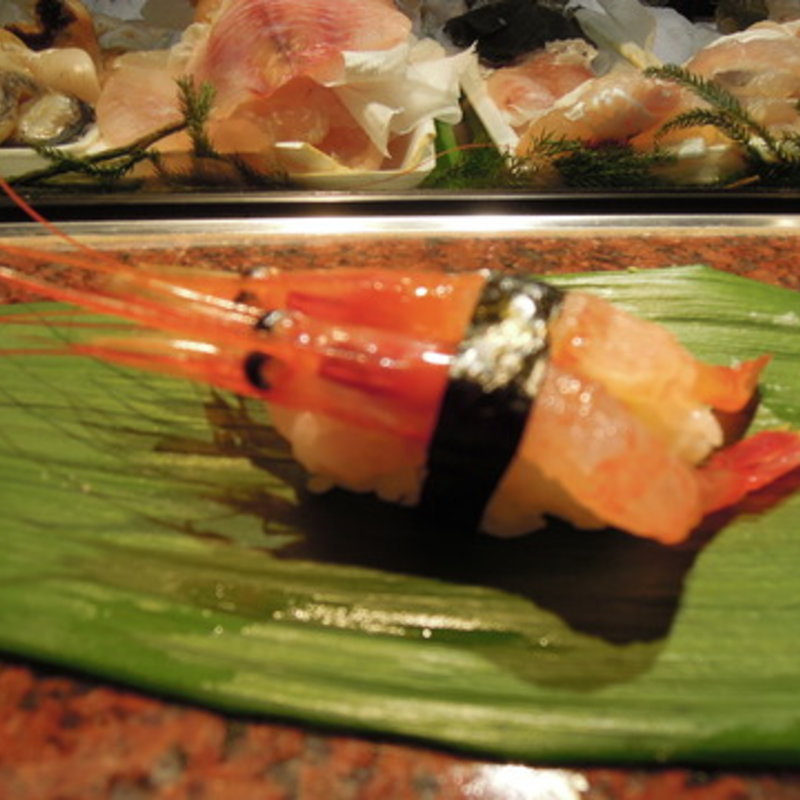 活け南蛮エビ握り(河竹鮨)