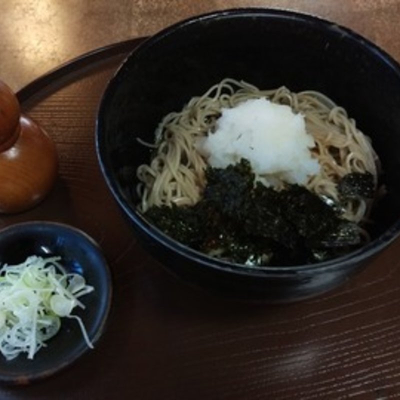 冷たいおろしそば(公望荘)