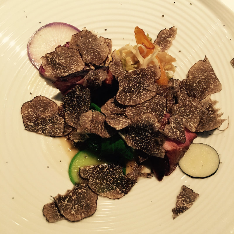 イノシシ(ア・ニュ)