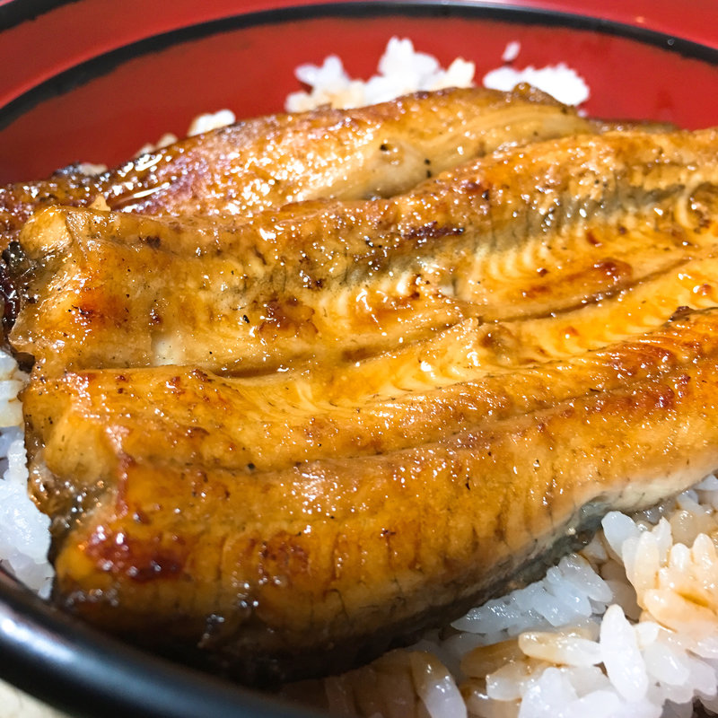 うな丼(ふじもと とんかつ店)