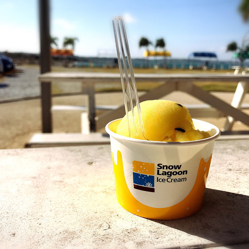 SnowLagoonのパッションフルーツ味のアイス(アイス喫茶 あやはし )