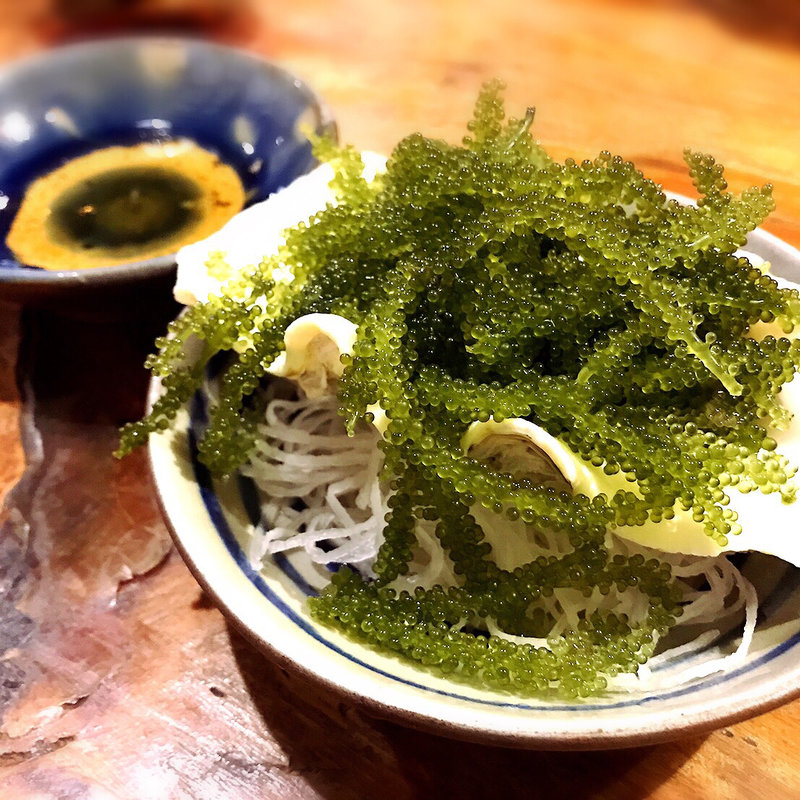 海ぶどう(ぱやお )