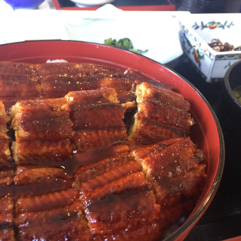 うなぎ定食(魚屋食堂 カネシチ水産)
