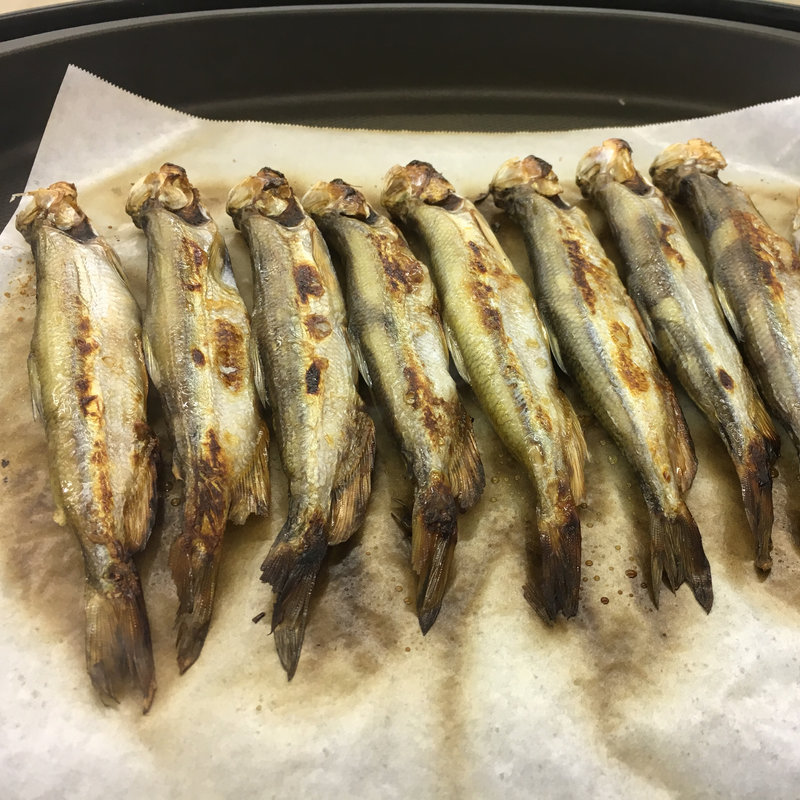 (カネダイ大野商店)