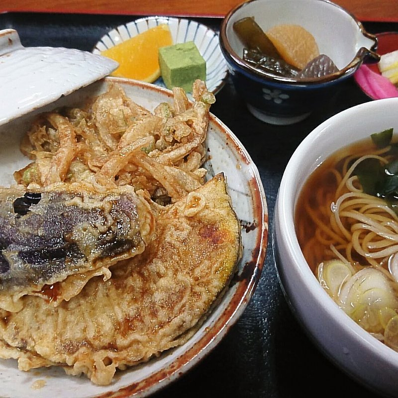 ミニ野菜丼付き せいろ付(手もみそばいけもり )