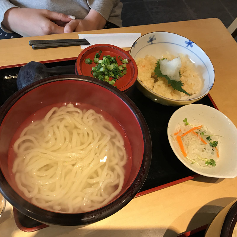 小海老おろしつけうどん（釜/もり）(釜揚げうどん はつとみ)