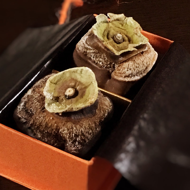 UKIHA愛 KA-KI(ルセット・マリナ 博多阪急 )