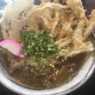 ごぼう天うどん(練り込みうどん権)