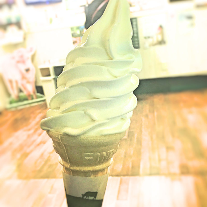 ソフトクリーム(なかほら牧場)