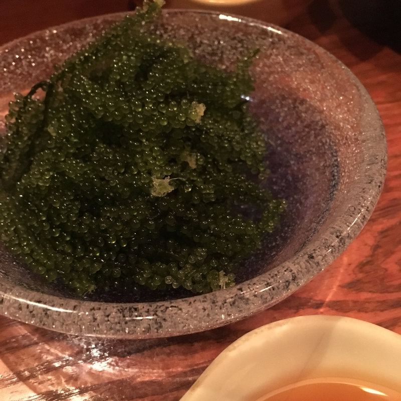 海ぶどう(残波の風)