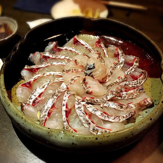 東京都で食べられる鯛しゃぶランキング Sarah サラ