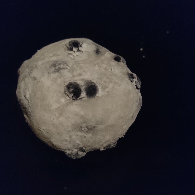 豆大福(ささや大福 )