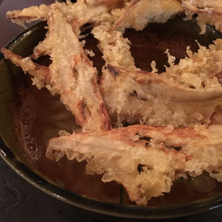 ごぼう天うどん(大地のうどん　博多駅ちかてん)