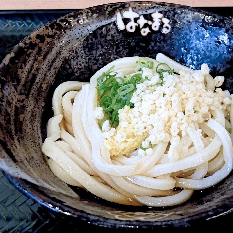 ぶっかけ冷(はなまるうどん 木太店 )