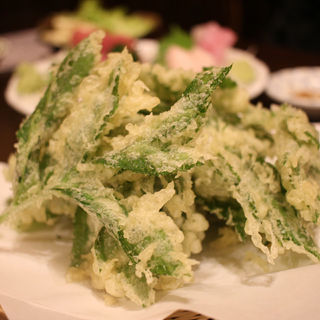 明日葉の天ぷら(源八船頭 新小岩店)