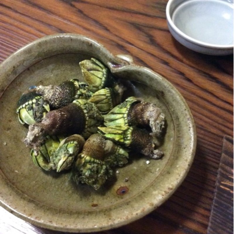 亀の手(たかはし )