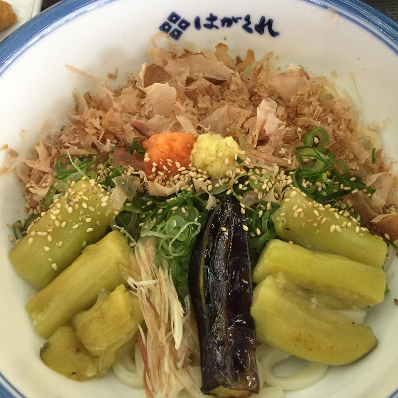 焼きナスのうどん(はがくれ下松店)