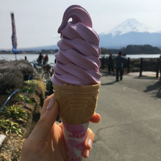 ブルーベリーソフトクリーム(富士山の見えるカフェ )