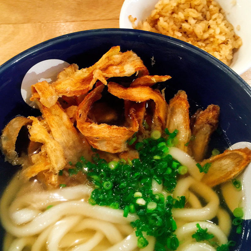 ごぼう天うどん ハーフ(博多うどん酒場 イチカバチカ)