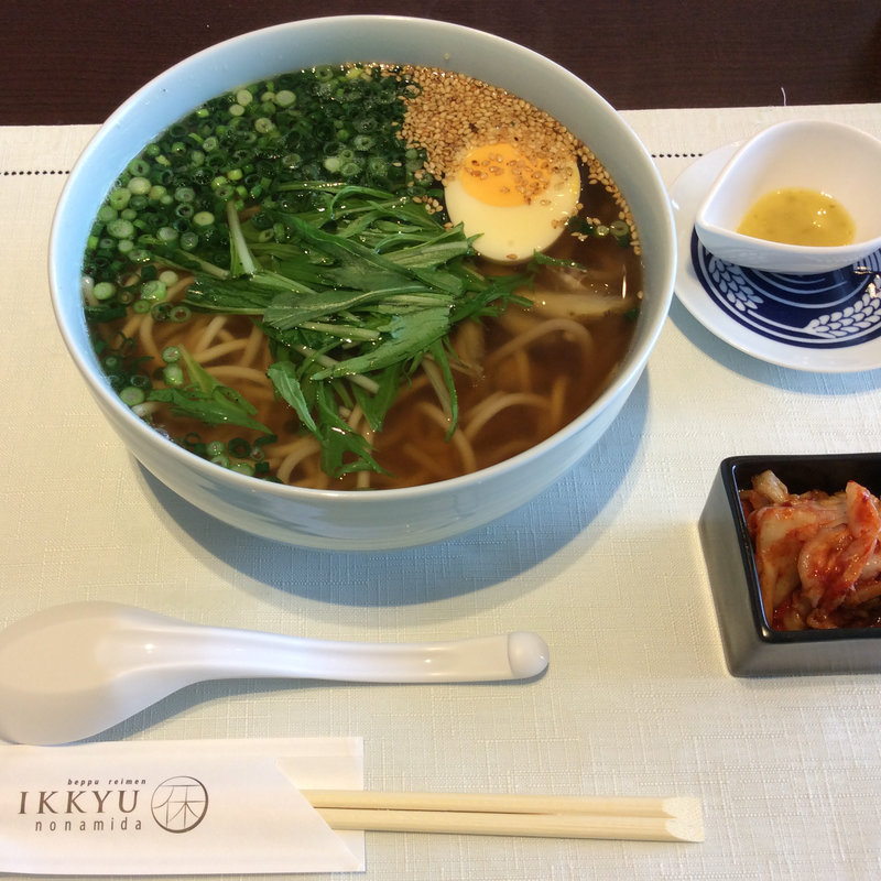 鶏ねぎ温麺 大盛(IKKYU nonamida （一休の泪 ）)