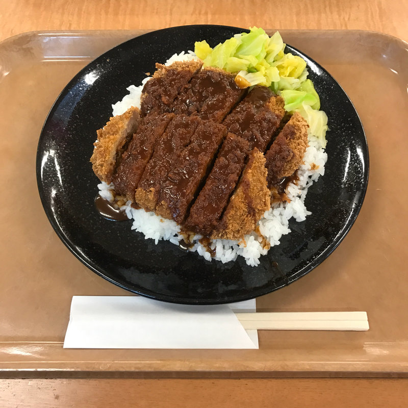 加古川名物かつめし(ダブル)(三木サービスエリア（上り線）スナックコーナー )