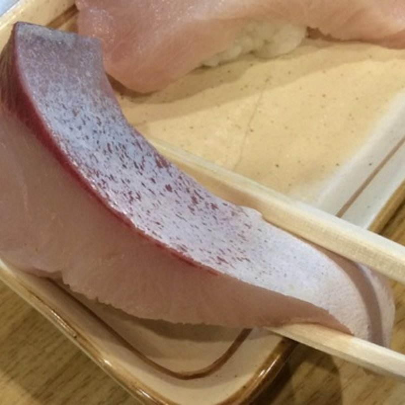 ハマチ(寿司 からし志)