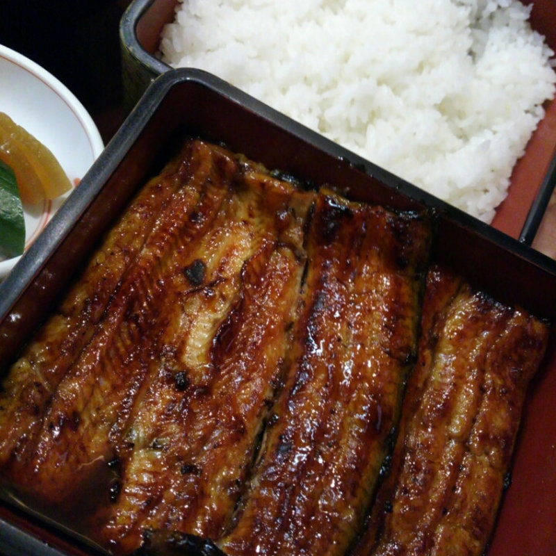 うな重 藤(うなぎあら川)