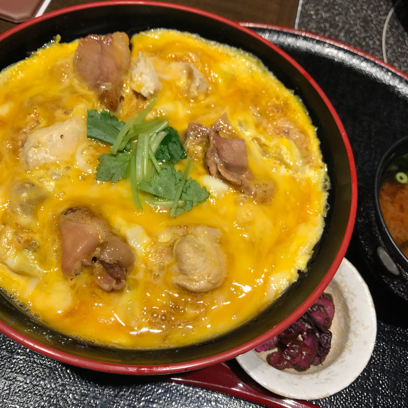 名古屋コーチン親子丼(とり五鐵 （とり五鉄 とりごてつ）)