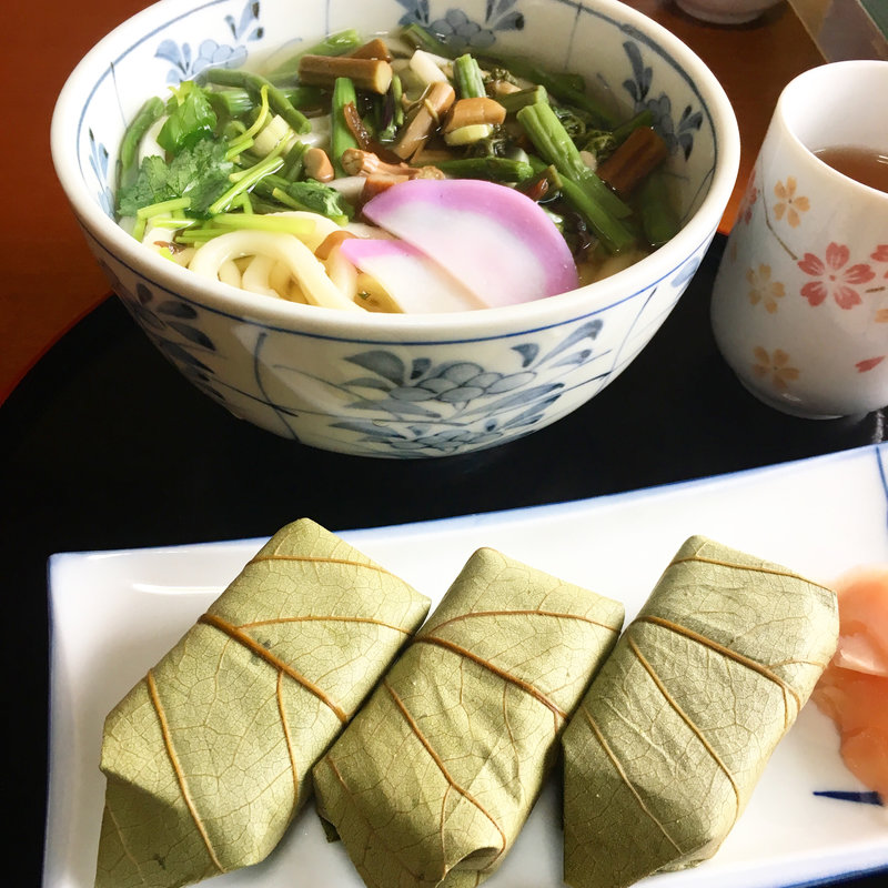 山菜うどんセット(秀の柿の葉すし )