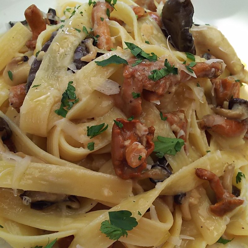 タリアテッレ/ワイルドマシュルームクリームソース(bills 横浜赤レンガ倉庫)