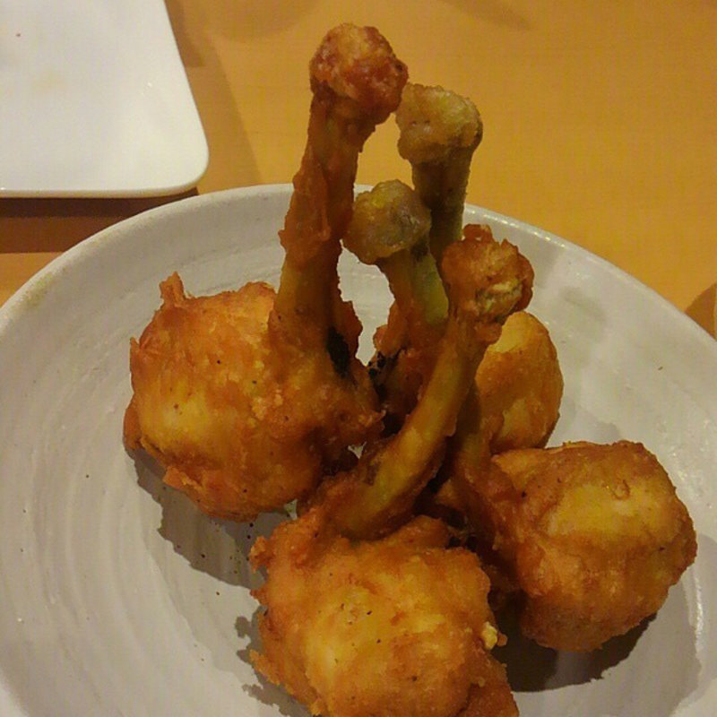 チューリップ(鳥長 )