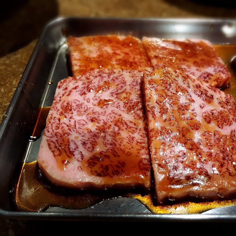 ハネシタ(どうげん)