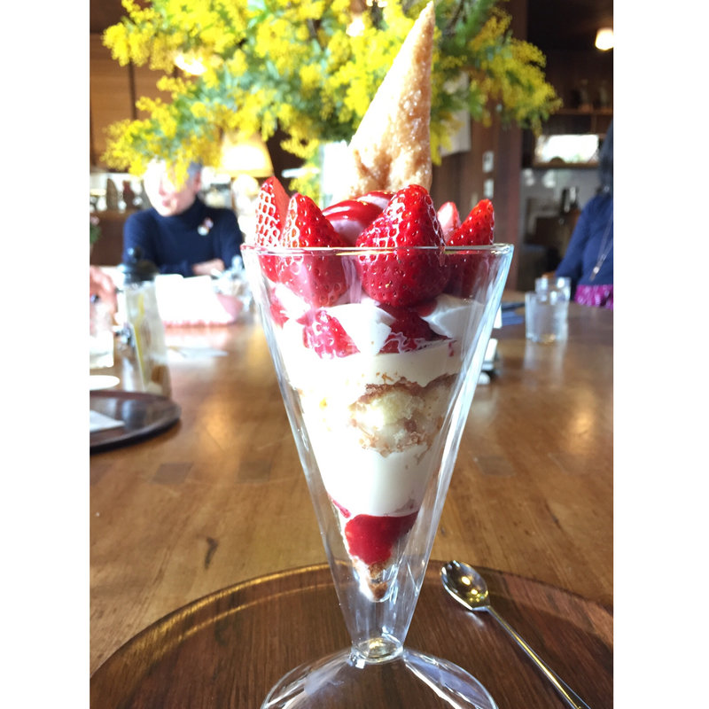 季節限定いちごパフェ(ウィーン菓子工房 リリエンベルグ)