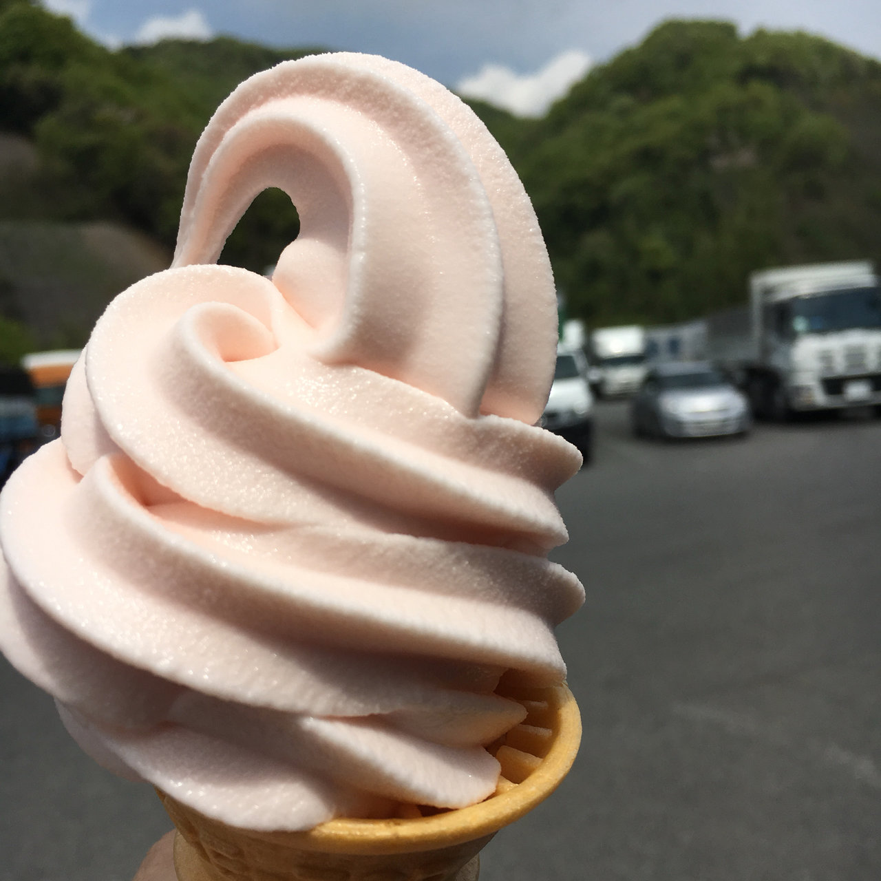 岡山県のおすすめソフトクリームbest10 Sarah サラ