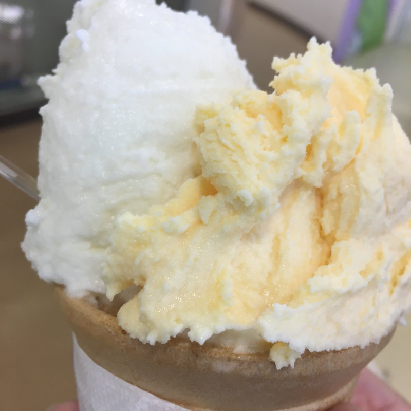 ジェラートダブル(レストラン・サラダ館)