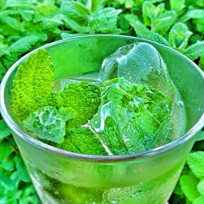 モヒート(ノンアルコール)(かなっぺ )